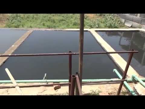 Integrated Sewage Treatment Plant