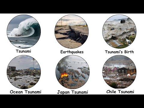 Why Earthquakes Trigger Tsunamis Explained in 10 Minutes