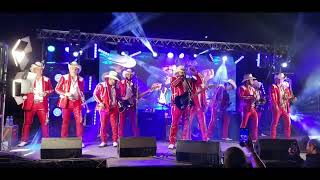 El Gato Grupo Laberinto