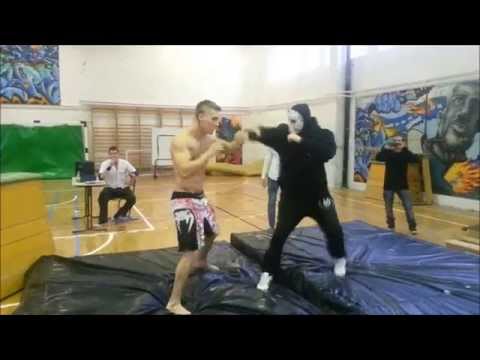 SSW - The Reunion Show (Highlights)