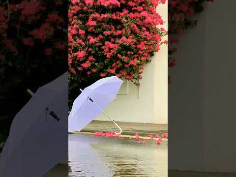 tumhi dekho na(instrumental)#music#love#ytshorts#shortsvideo