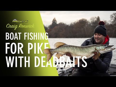HOW TO FLOAT FISH FOR PIKE WITH DEADBAITS: Learn how to use deadbaits to catch pike.