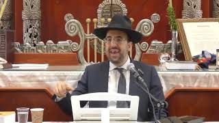 הרב מאיר אליהו | הכנה להושענא רבא | בית וגן התשפ״ו (רבנים שונים) - התמונה מוצגת ישירות מתוך אתר האינטרנט יוטיוב. זכויות היוצרים בתמונה שייכות ליוצרה. קישור קרדיט למקור התוכן נמצא בתוך דף הסרטון הרב מאיר אליהו | הכנה להושענא רבא | בית וגן התשפ״ו (רבנים שונים) - התמונה מוצגת ישירות מתוך אתר האינטרנט יוטיוב. זכויות היוצרים בתמונה שייכות ליוצרה. קישור קרדיט למקור התוכן נמצא בתוך דף הסרטון