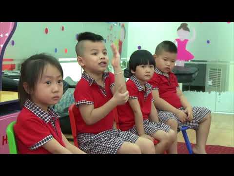 Giới thiệu công ty