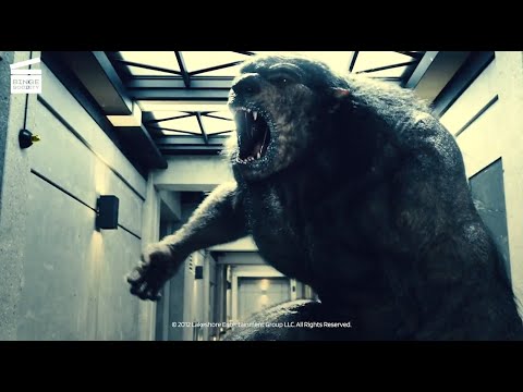 Underworld Awakening : Elevator Drop (HD clip)