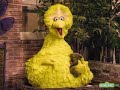 Classic Sesame Street Big Bird Talks About Sleep