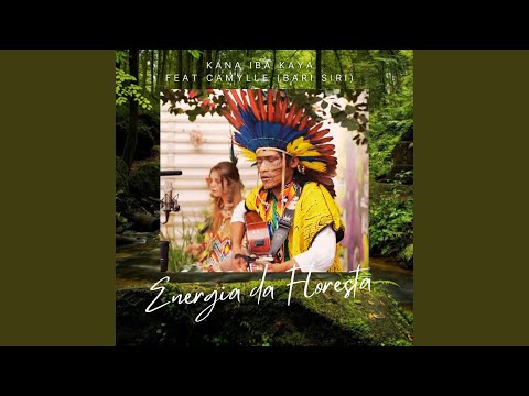 Energia da Floresta