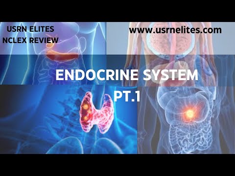 ENDOCRINE SYSTEM PT. 1