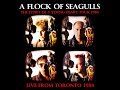 A Flock Of Seagulls | Live Oct.18th 1984 'The Story Of A Young Heart' Tour