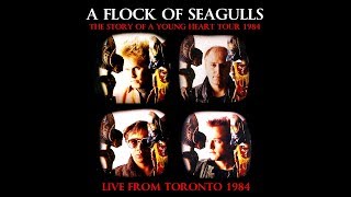 A Flock Of Seagulls | Live Oct.18th 1984 &#39;The Story Of A Young Heart&#39; Tour