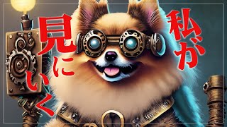 ポメコの色々な人を紹介する生放送