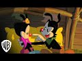 Steven Spielberg Presents Animaniacs Wakko S Wish The Story Warner Bros Entertainment