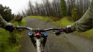 preview picture of video 'Rostrevor Bin Run - DH bike'