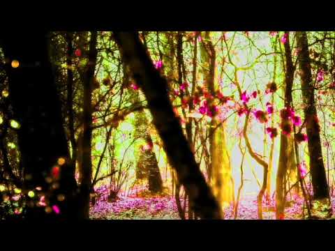 Starskee - Calling (Autumn Mix)