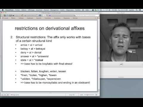 Morphological productivity