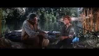 The Adventures of Huckleberry Finn (1960) Video