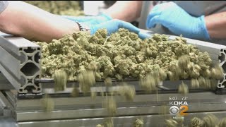 16 Pa. Dispensaries Begin Selling Dry Leaf Medical Marijuana