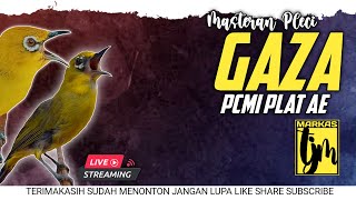 Download lagu 🔴 LIVE masteran pleci GAZA pcmi plat ae mp3 Download lagu 🔴 LIVE masteran pleci GAZA pcmi plat ae mp3