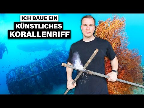 I'm building an ARTIFICIAL CORAL REEF - 14 meters deep in the Philippines