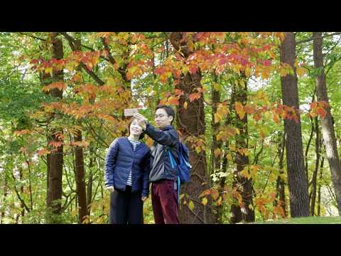 草津温泉ホテルヴィレッジ《秋編》