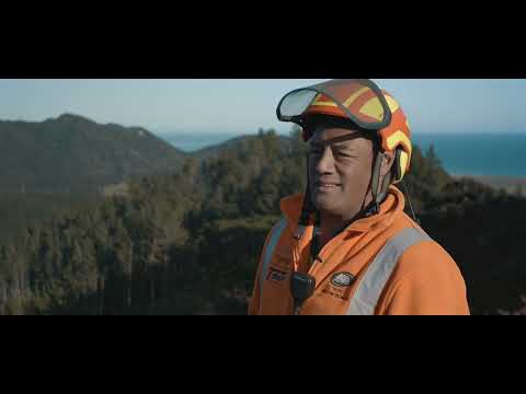 Forstwirtschaft in Neuseeland mit BaSt-Ing Produkten