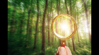 עת לבקש ועת לאבד▪️ הרב נחמנסון ▪️ (שיעור בספר קוהלת פרק ג פסוק ו) (הערוץ של הרב יהודה לייב נחמנסון) - התמונה מוצגת ישירות מתוך אתר האינטרנט יוטיוב. זכויות היוצרים בתמונה שייכות ליוצרה. קישור קרדיט למקור התוכן נמצא בתוך דף הסרטון