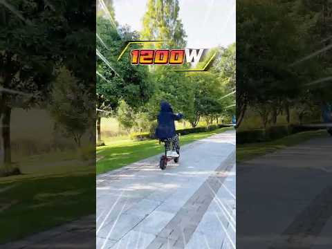 🚀 J11 Electric Scooter: Power, Speed, and All-Terrain Capability! 🌟