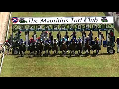 RM15 R1 | Midnight Messenger | A.Aucharuz