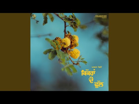 Kikran De Phull — watch video