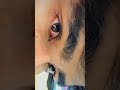 Main Dil Ko Samjha Lunga Tu Khayal Tera Rakhna Sad Status Sadstatus Sadshayari Shorts 7676live