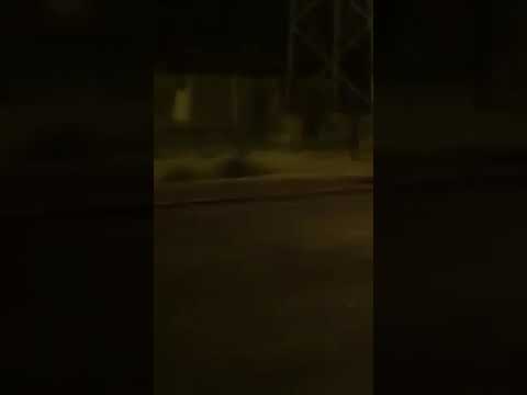 Samara a Corato,Puglia