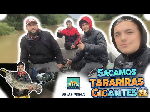 Pesca Deportiva en Otamendi, Campana, Buenos Aires | Río Paraná de las Palmas *MUCHO PIQUE*
