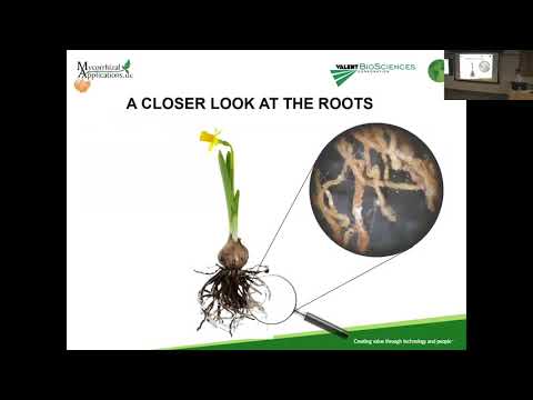 Jozsef Racsko: The use of mycorrhizal fungi in horticulture