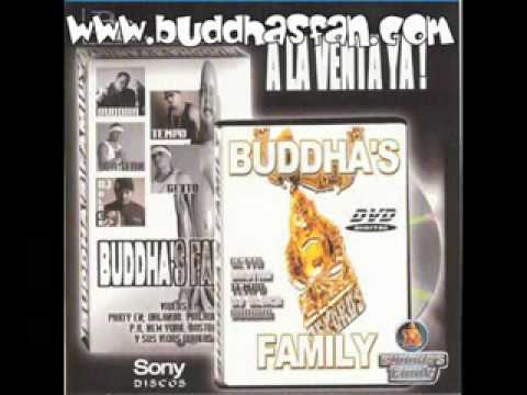 Carta para Tempo - Willie Sante, Temperamento, Don Dinero