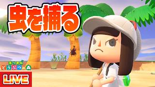 【あつ森】虫図鑑コンプリート配信始動！！！名前が長い虫たちを捕まえまくるぞ！【あつまれどうぶつの森】