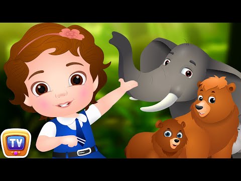 Going To the Forest | Wild Animals for Kids and More Learning Songs & Nursery Rhymes by ChuChu TV