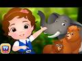 Going To The Forest Wild Animals For Kids And More Learning Songs Nursery Rhymes By ChuChu TV