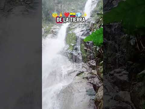 Palabra de vida #parati #Ecuador #Imbabura #Cotacachi #Intag #amigos #motivacion