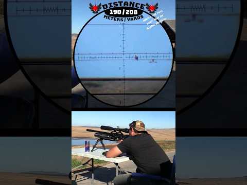 208 Yard Headshot! | FX Impact #headshot #hunting #sniper #fxairguns #shots #amazing #viral