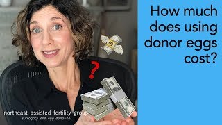 How Much Does it Cost to Use Donor Eggs? |AssistedFertility.com