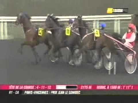 Prix Jean le Gonidec 2011 -Main Wise As