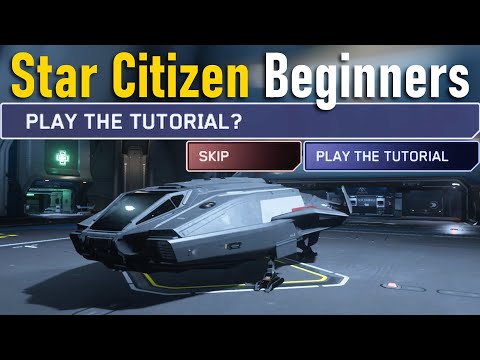 Tutorial Walkthrough for Star Citizen Beginners
