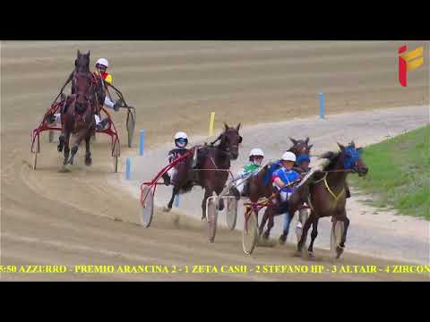 V corsa del 12 ottobre 2022 - 5 Anni ed oltre - Metri 1600 - Gara centrale