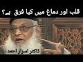 Qalb O Dmagh Mein Farq By Dr Israr Ahmad
