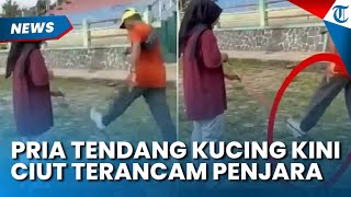 CIUT! Pria yang Tendang Kucing hingga Mati, Kini Terancam Penjara, Ngaku Salah Minta Maaf