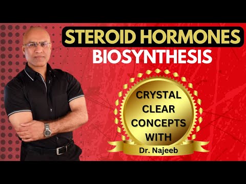 Synthesis of Steroid Hormones | Biosynthesis | Dr Najeeb👨‍⚕️
