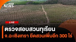 ตรวจสอบสวนทุเรียน จ.ฉะเชิงเทรา ยึดสวนเพิ่มอีก 300 ไร่ | 14 มี.ค. 68
