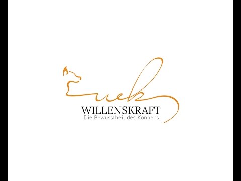 Willenskraft: mobile Hundeschule Steiermark: Ein aktiver Spaziergang mit dem Hund