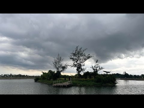 Bụi trần - Tịnh Mỹ