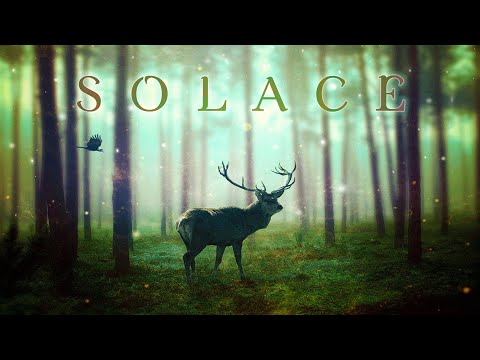 SOLACE ᯽ Ethereal Forest Ambient Music for Stress Relief and Healing 🌿
